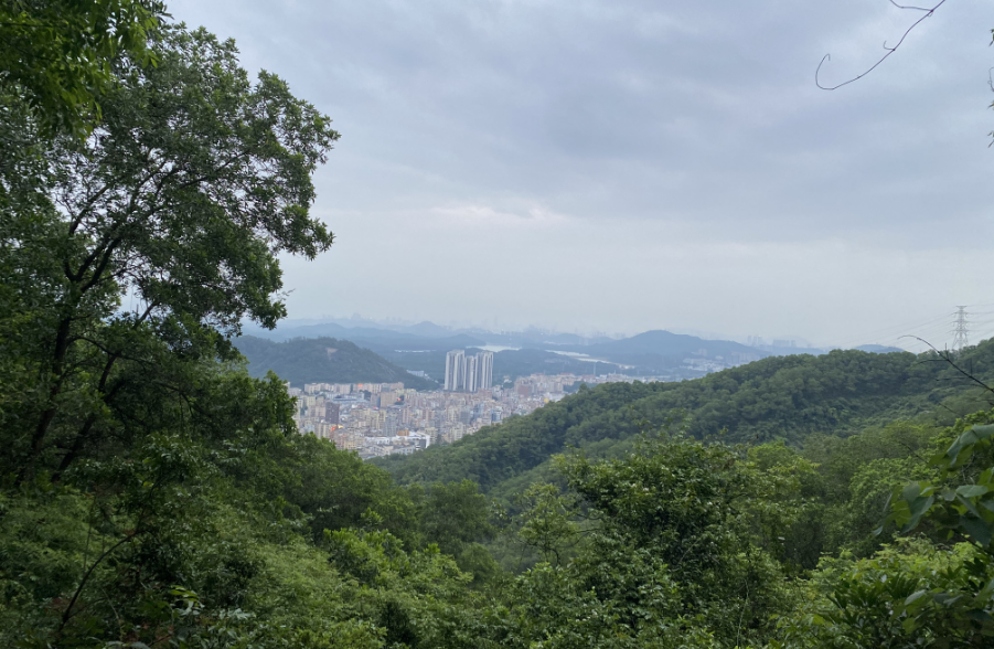 bw必威团建|梦想凝聚团队,团队铸就梦想!