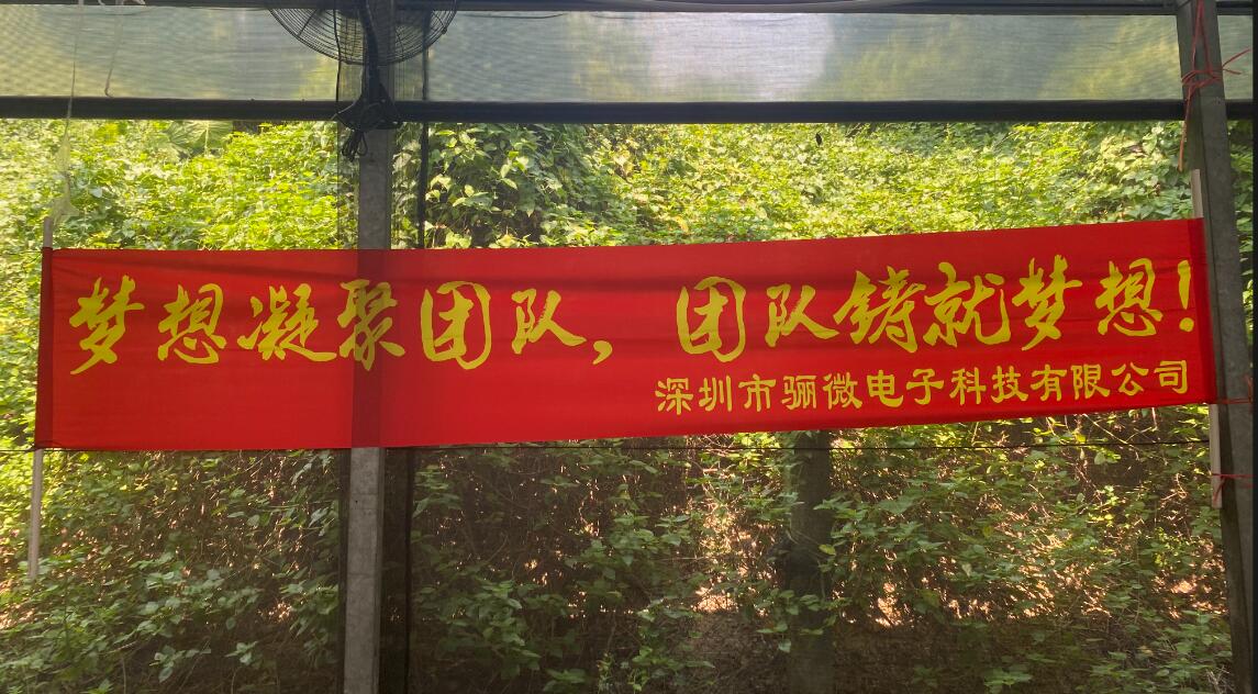 bw必威团建|梦想凝聚团队,团队铸就梦想!